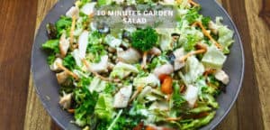 10 minutes garden salad