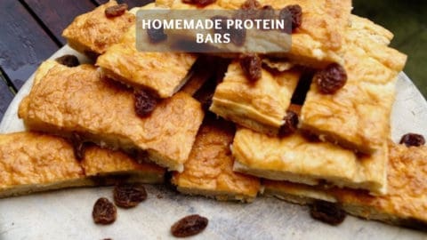 Homemade Protein Bars - Raisins Protein Bar Recipe