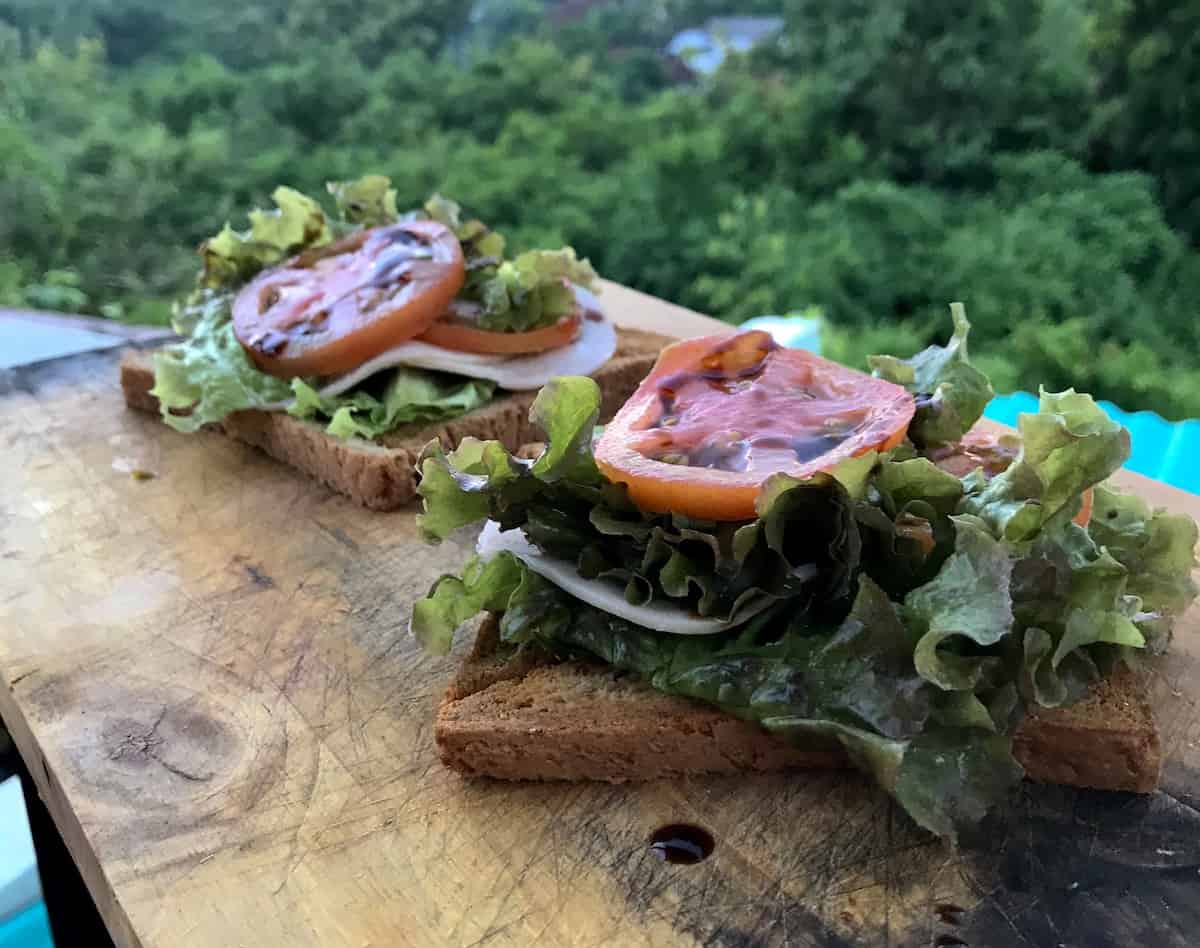 teriyaki toasts